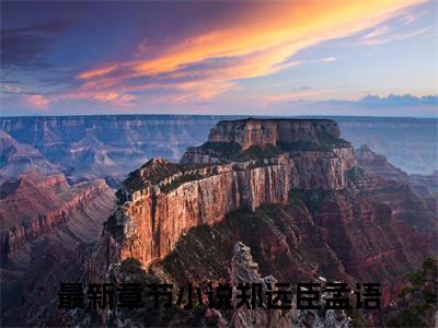 郑远臣孟语小说免费阅读无弹窗大结局-郑远臣孟语（郑远臣孟语）小说全文阅读