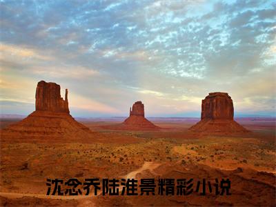 沈念乔陆淮景豪门小说全章节阅读-沈念乔陆淮景全文免费阅读