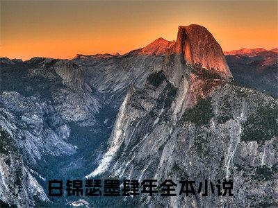 白锦瑟墨肆年小说(白锦瑟墨肆年)_全章节小说完整版阅读（白锦瑟墨肆年）