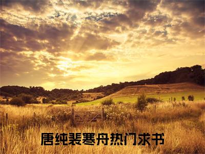 【新书】《唐纯裴寒舟》全文免费阅读无弹窗大结局-唐纯裴寒舟全章节免费阅读