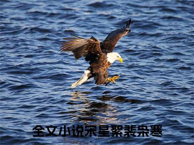 宋星絮裴枭寒无广告小说全文免费阅读无弹窗大结局-宋星絮裴枭寒在线阅读