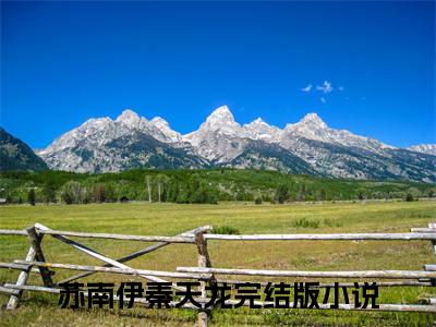 苏南伊秦天龙（苏南伊秦天龙）全文免费阅读无弹窗大结局_（苏南伊秦天龙）苏南伊秦天龙最新章节列表_笔趣阁（苏南伊秦天龙）