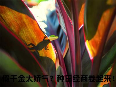 假千金太娇气？种田经商卷起来！是哪部小说的主角，顾佳琪全文无弹窗完整版阅读