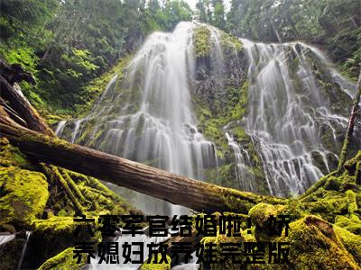 六零军官结婚啦！娇养媳妇放养娃（路舒白元也）小说全文免费阅读无弹窗大结局_六零军官结婚啦！娇养媳妇放养娃全文在线阅读无弹窗（路舒白元也）