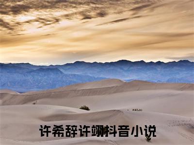 被收养后，哥哥将我宠上了天全文免费在线阅读_（许希辞许翊免费阅读无弹窗）被收养后，哥哥将我宠上了天全文免费完结版阅读