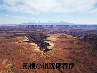 沈郁乔伊小说大结局免费阅读（沈郁乔伊）-完结版沈郁乔伊小说推荐