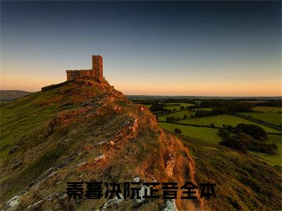 年少的欢喜与心动只能藏于心底（秦暮决阮芷音）全文免费阅读无弹窗大结局_秦暮决阮芷音免费最新章节列表_笔趣阁