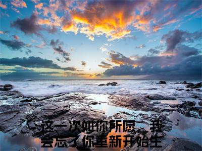 秦观赫陈婉宁满分热推小说 -这一次如你所愿，我会忘了你重新开始生活秦观赫陈婉宁小说全本已完结