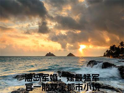 林渔米陆听白在线阅读（海岛军婚：嫁最猛军官一胎双宝）全文免费阅读无弹窗大结局_海岛军婚：嫁最猛军官一胎双宝免费最新章节列表_笔趣阁