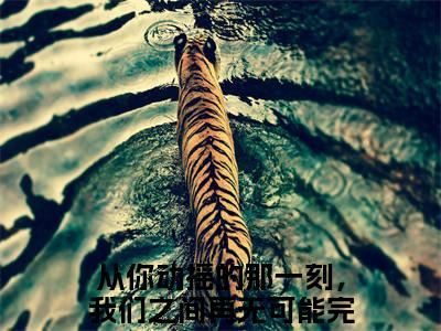 【完整版】（宋佳蕊周若博小说从你动摇的那一刻，我们之间再无可能）精彩小说全本资源免费阅读结局无删节_从你动摇的那一刻，我们之间再无可能全章节阅读
