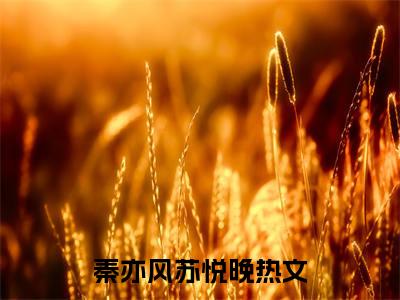 秦亦风苏悦晚（秦亦风苏悦晚）精选好书-秦亦风苏悦晚无删减版在线阅读（秦亦风苏悦晚全文免费阅读）