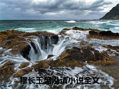 热文穆长玉盛泓清在线免费读-穆长玉盛泓清的小说（穆长玉盛泓清）完整版免费读全文