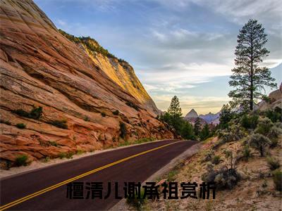 檀清儿谢承祖(檀清儿谢承祖)小说全文小说免费阅读_檀清儿谢承祖最新章节列表笔趣阁（檀清儿谢承祖）
