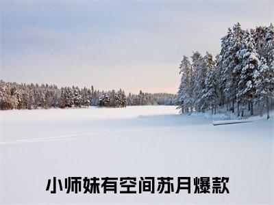 小师妹有空间苏月免费小说-小师妹有空间苏月全文阅读目录