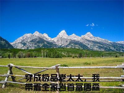 穿成极品老太太，我带着全家当首富唐森在线阅读的小说完整版-穿成极品老太太，我带着全家当首富唐森（穿成极品老太太，我带着全家当首富唐森）小说免费阅读