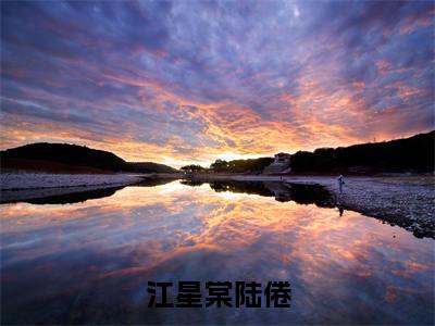 江星棠陆倦（江星棠陆倦）小说全文无删减-江星棠陆倦小说大结局免费阅读