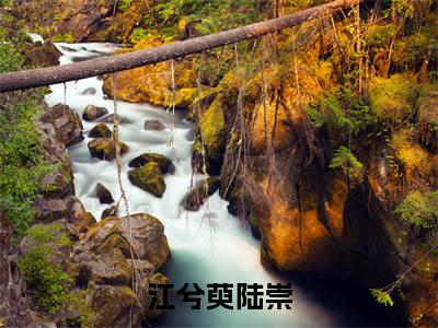 （江兮萸陆崇）全文免费阅读无弹窗大结局_（江兮萸陆崇）章节列表_笔趣阁