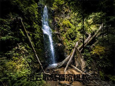 池云歌陆暮沉小说（池云歌陆暮沉）全文免费阅读_池云歌陆暮沉小说精彩在线赏析