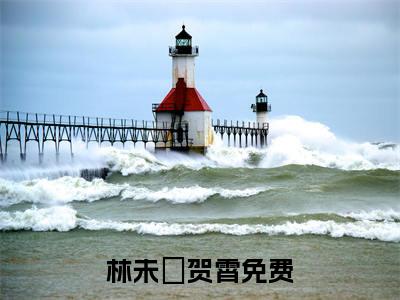 林未晞贺霄全文免费阅读无弹窗大结局_ （林未晞贺霄完结）林未晞贺霄小说最新章节列表