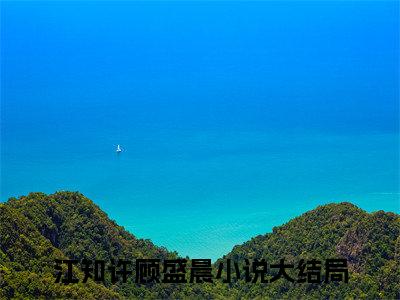 江知许顾盛晨小说完整版阅读 江知许顾盛晨全文在线赏析