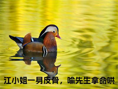 喻莳安江晚宜小说（江小姐一身反骨，喻先生拿命哄）全文免费阅读大结局_（喻莳安江晚宜）江小姐一身反骨，喻先生拿命哄小说免费阅读无弹窗
