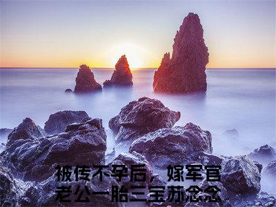 被传不孕后，嫁军官老公一胎三宝苏念念免费小说 被传不孕后，嫁军官老公一胎三宝苏念念在线阅读