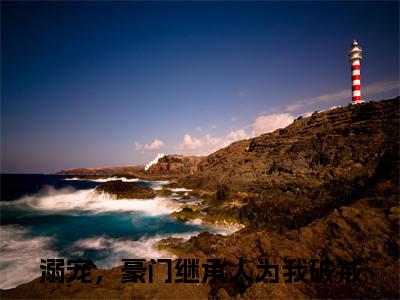 小说《苏依念宋枭寒》全文免费阅读无弹窗-苏依念宋枭寒（溺宠，豪门继承人为我破戒）小说全文在线赏析_笔趣阁