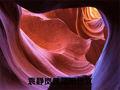 袁静岚萧翊珩全文推荐阅读，袁静岚萧翊珩热门榜单免费新书阅读