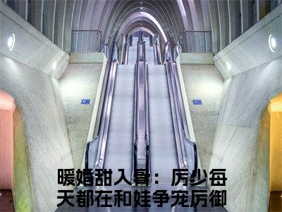 暖婚甜入骨：厉少每天都在和娃争宠(厉御江顾云暖)小说免费阅读无弹窗完整版_(厉御江顾云暖)暖婚甜入骨：厉少每天都在和娃争宠最新章节列表笔趣阁