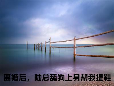 离婚后，陆总舔狗上身帮我提鞋(陆司野顾星蛮)全文免费阅读_陆司野顾星蛮(离婚后，陆总舔狗上身帮我提鞋)全文阅读