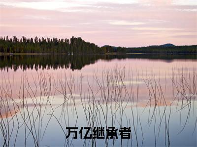 万亿继承者是哪部小说的主角，陈岩全文无弹窗完整版阅读