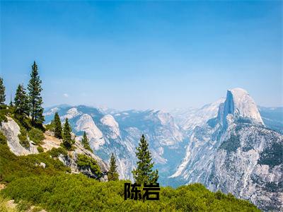 陈岩万亿继承者正版美文欣赏 万亿继承者小说全文完整版免费阅读