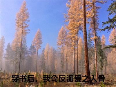 主角是穿书后，我令反派爱之入骨的小说叫什么名字 宋临荇洛安小说免费阅读