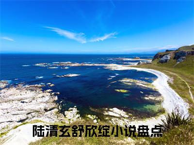 小说陆清玄舒欣绽全文阅读-（陆清玄舒欣绽）小说陆清玄舒欣绽大结局
