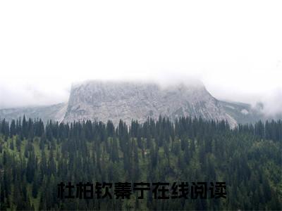 杜柏钦蓁宁（殿下，我们没有未来了）新上热文免费阅读-杜柏钦蓁宁（殿下，我们没有未来了）无广告在线阅读