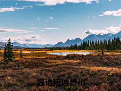 热文（温语初傅景川）美文阅读_热门小说主人公是（温语初傅景川）最新章节限时观看_笔趣阁