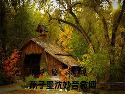 萧子墨沈妙音（萧子墨沈妙音）最新章节免费阅读全文-完结小说萧子墨沈妙音在线阅读