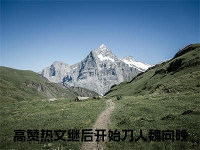 继后开始刀人魏向晚最新章节（继后开始刀人魏向晚）小说推荐阅读-新书继后开始刀人魏向晚精彩阅读