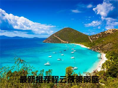 程云筱秦南庭微小说免费阅读-程云筱秦南庭言情小说阅读