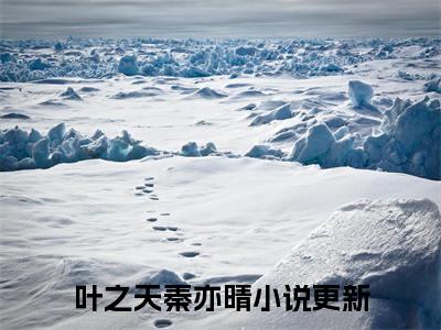 叶之天秦亦晴(爱已散尽)小说全文免费阅读无弹窗大结局_（爱已散尽）叶之天秦亦晴最新章节列表