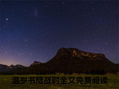 温岁书陆战时（她从小备受宠爱，却没少在男人那吃瘪）全文免费阅读无弹窗大结局_（她从小备受宠爱，却没少在男人那吃瘪）最新章节