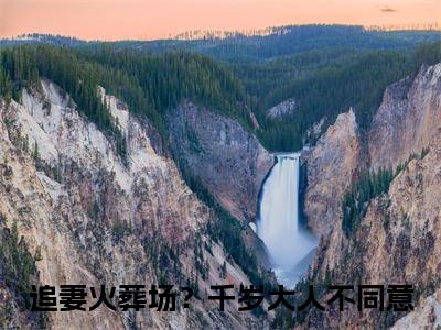 叶晚棠裴渡（追妻火葬场？千岁大人不同意）全文免费阅读无弹窗大结局_叶晚棠裴渡（追妻火葬场？千岁大人不同意）全文阅读_笔趣阁