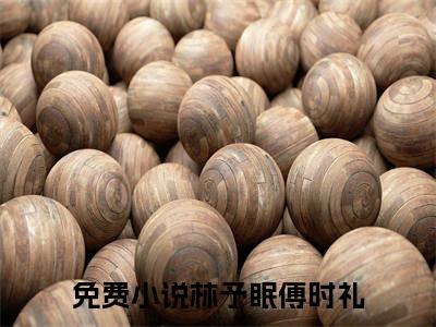 林予眠傅时礼（林予眠傅时礼免费阅读无弹窗）-林予眠傅时礼最新章节列表林予眠傅时礼全文无删减版
