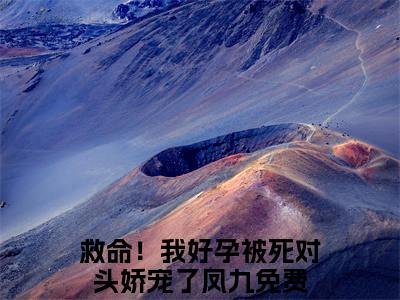 救命！我好孕被死对头娇宠了凤九小说阅读 救命！我好孕被死对头娇宠了凤九全文免费无广告
