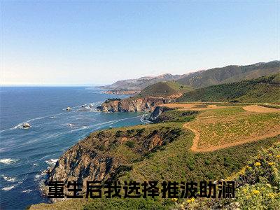 林瑜徐念念（重生后我选择推波助澜）免费阅读-（重生后我选择推波助澜）最新章节小说全文在线阅读