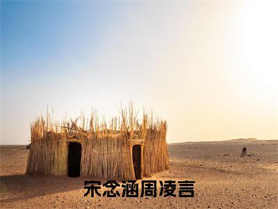 宋念涵周凌言全文免费阅读无弹窗大结局_ 宋念涵周凌言热门章节在线阅读笔趣阁