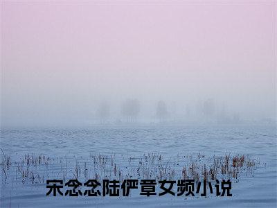 全章节完整《宋念念陆俨章》全文阅读《宋念念陆俨章》
