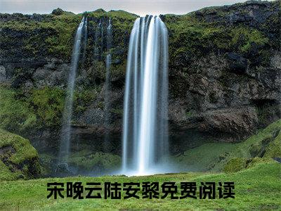 宋晚云陆安黎大结局无广告 热门小说宋晚云陆安黎全集免费阅读