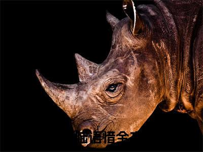 傅寒瑾陆语惜（傅寒瑾陆语惜）无广告免费阅读-傅寒瑾陆语惜小说最后结局如何