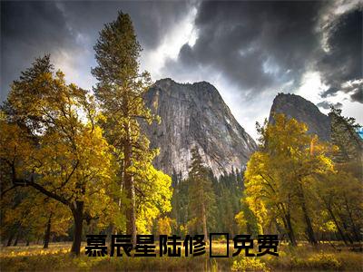 热门小说（慕辰星陆修璟）精选章节阅读-高质量小说推荐阅读